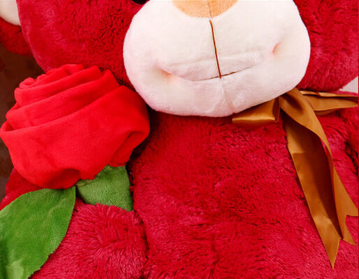 Χαριτωμένο γιγαντιαίο κόκκινο Teddy αντέχει τα γεμισμένα ζωικά παιχνίδια με ροδαλό Jumbo 80cm λουλουδιών