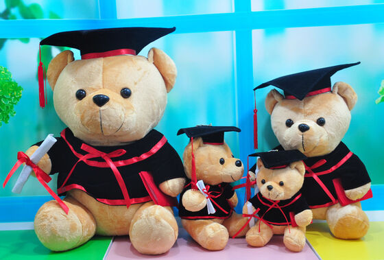 Το βελούδο Teddy βαθμολόγησης γιατρών αντέχει για τον εορτασμό 30cm βαθμολόγησης