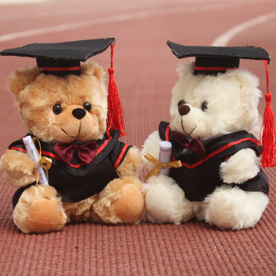 Το βελούδο Teddy βαθμολόγησης γιατρών αντέχει για τον εορτασμό 30cm βαθμολόγησης