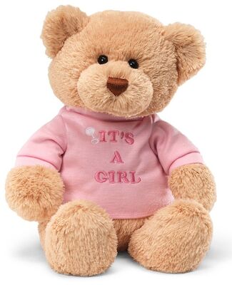 Η μόδα και ρόδινο Teddy αντέχουν τα γεμισμένα ζωικά παιχνίδια διαμορφώνουν το μαλακό υλικό